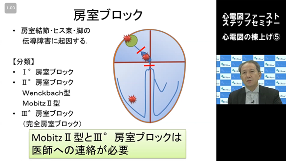 サムネイル5